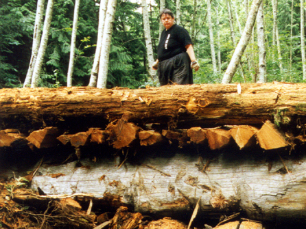 CB's Log Bridge, 1997