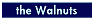 [the Walnuts]