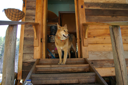 Molly checks the view from CB's back porch.