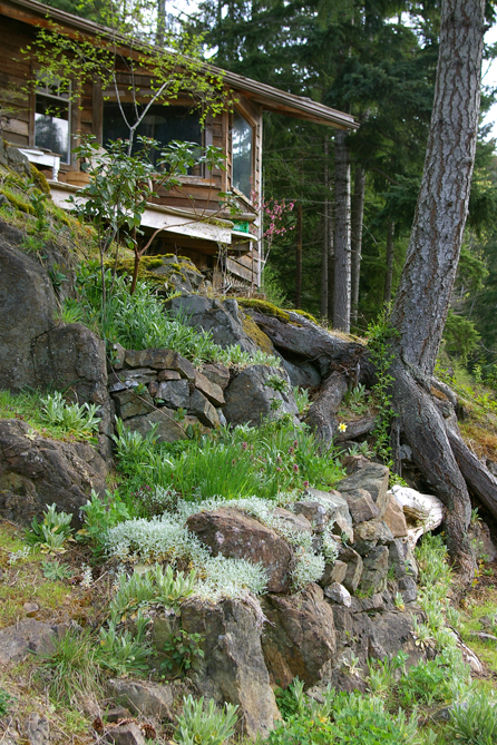 Front view of CB's cabin from swampside.