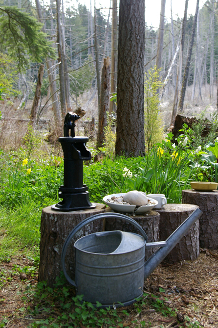 New hand pump to water CB's gardens.