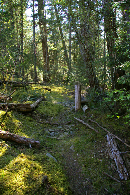 David's pathway up to Point Flash site.