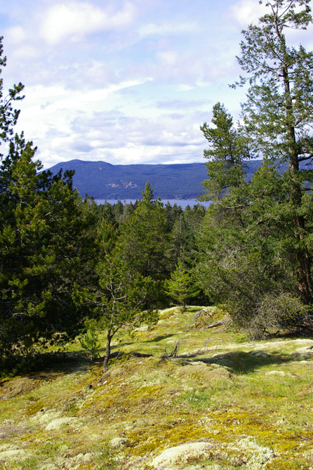 CB's ocean view peek (with Texada Island behind).