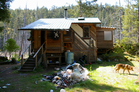 Clean-up still underway, back of CB's house.