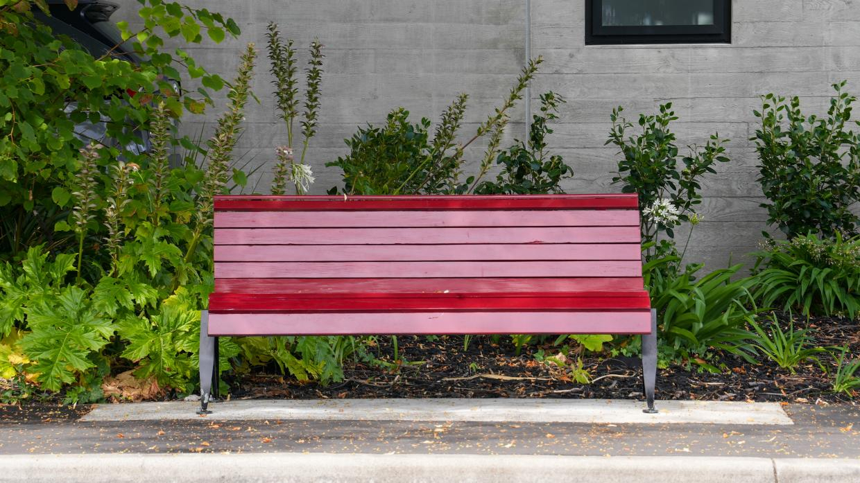 A memorial seat on Manchester St in Christchurch was recently repainted, after a plaque honouring sex workers was removed and the seat vandalised. Photo: Ollie Bourguignon/Stuff Digital
