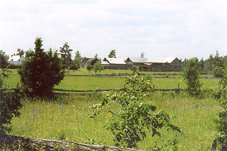 Lanark Logs 004