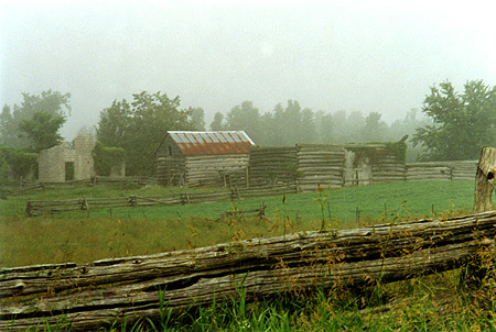 Lanark Logs 005