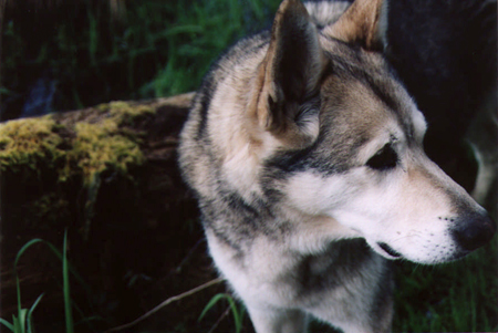 Mel O. Rockpile: No. 001