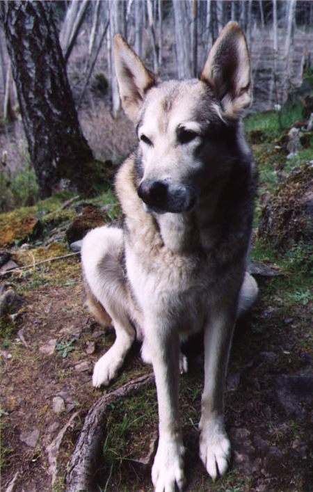 Mel O. Rockpile: No. 003