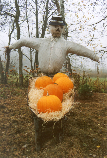 The YYG Collection: YYG-2000 No. 002. Hampshire Harvest.