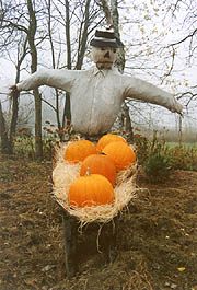 The YYG Collection: YYG-2000 No. 002. Hampshire Harvest.