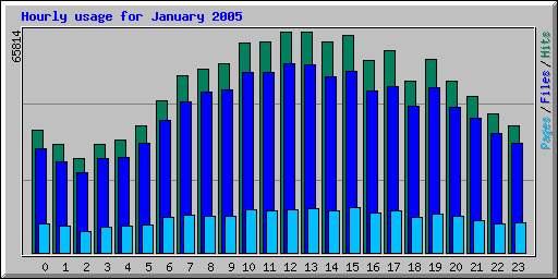 Hourly usage for January 2005
