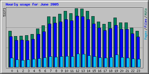 Hourly usage for June 2005