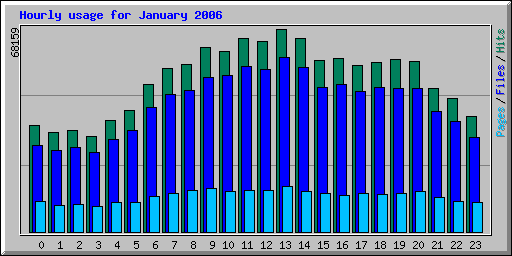 Hourly usage for January 2006