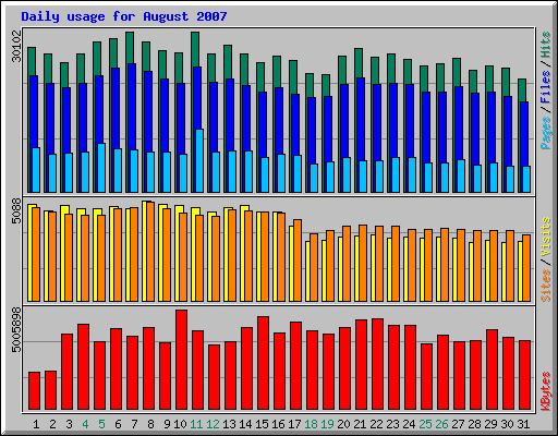 Daily usage for August 2007