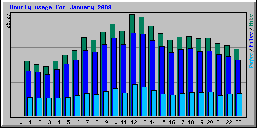Hourly usage for January 2009