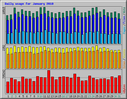 Daily usage for January 2010